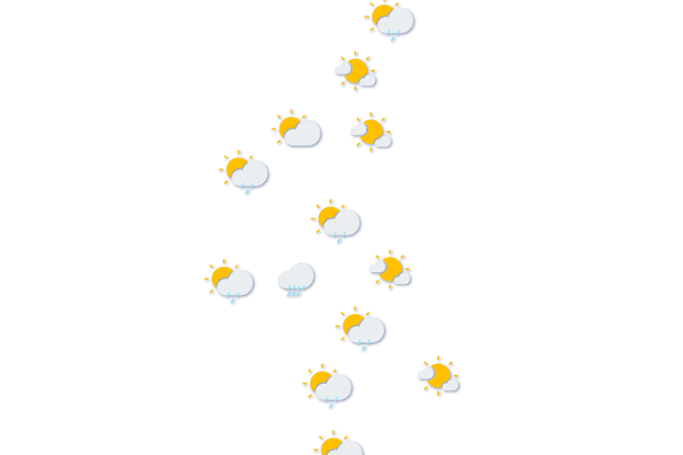 Forecast
