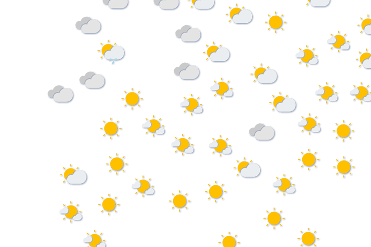 Forecast