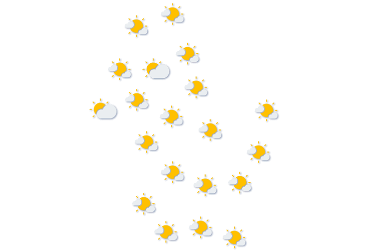 Forecast