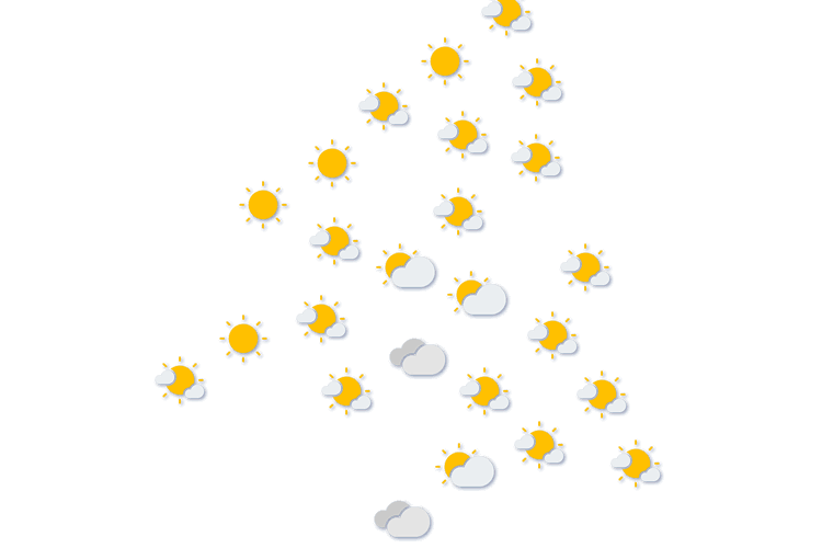 Forecast