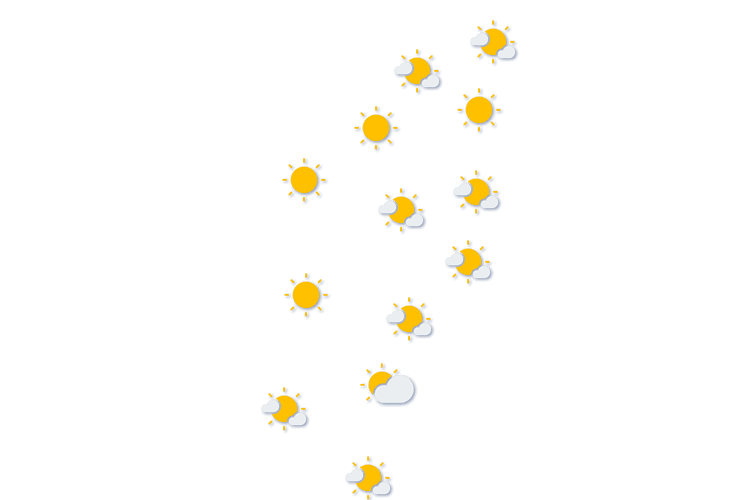 Forecast