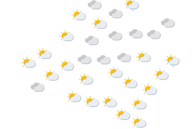 Forecast