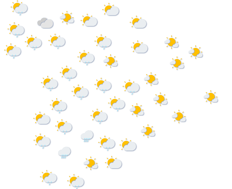 Forecast