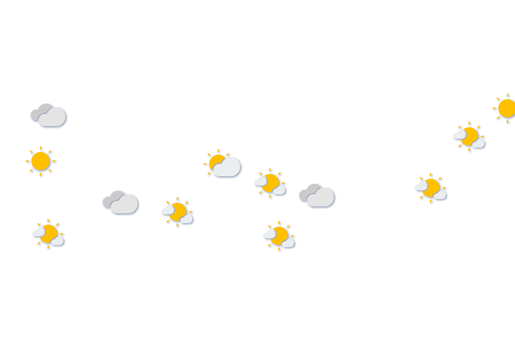 Forecast
