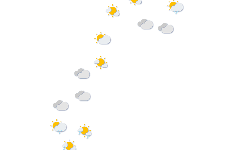 Forecast