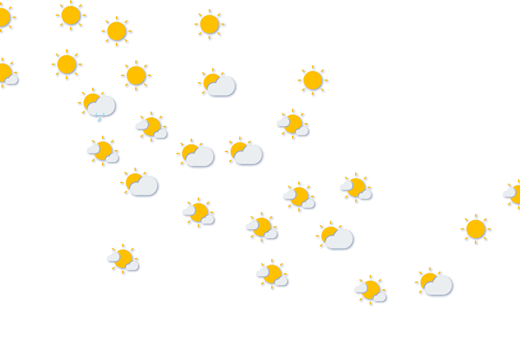 Forecast