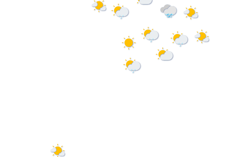 Forecast