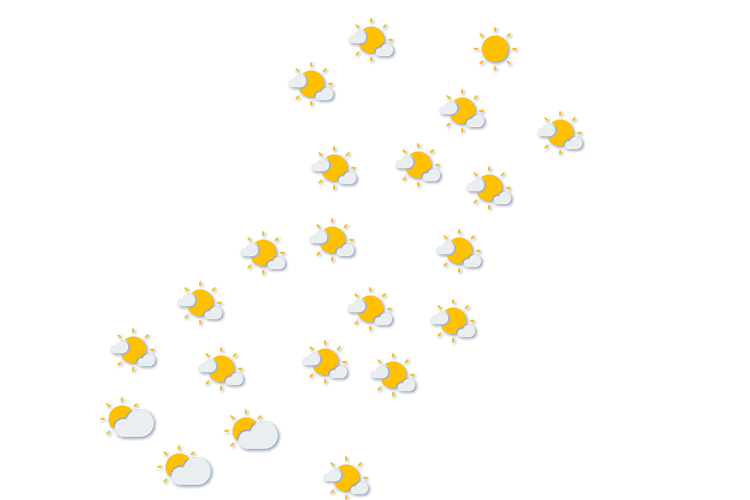 Forecast