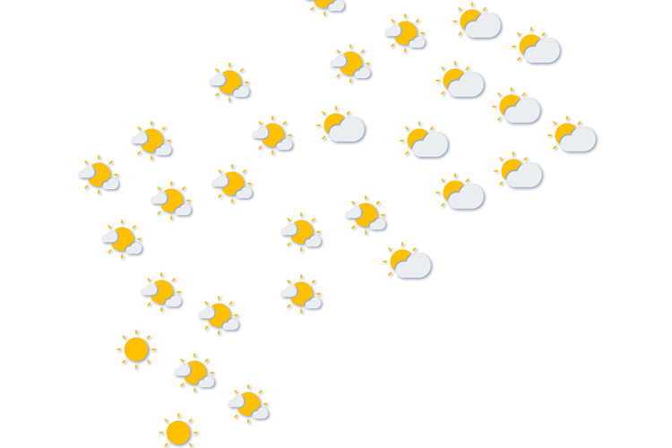 Forecast