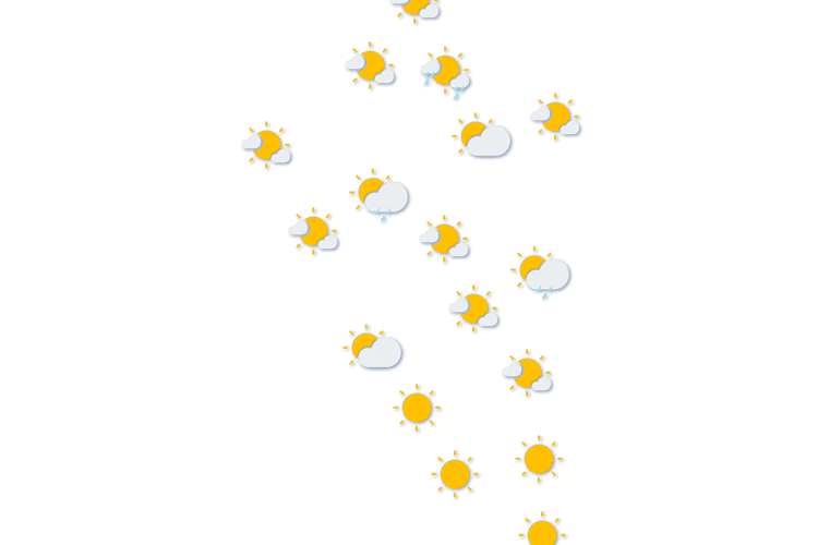 Forecast