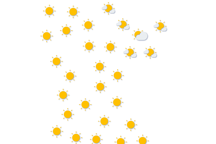 Forecast
