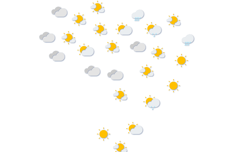 Forecast