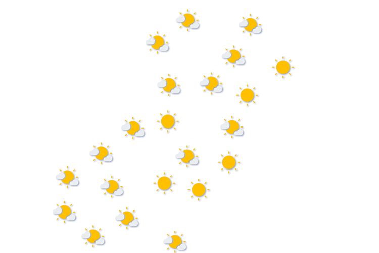 Forecast
