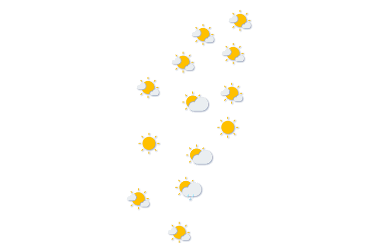 Forecast