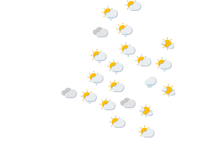 Forecast