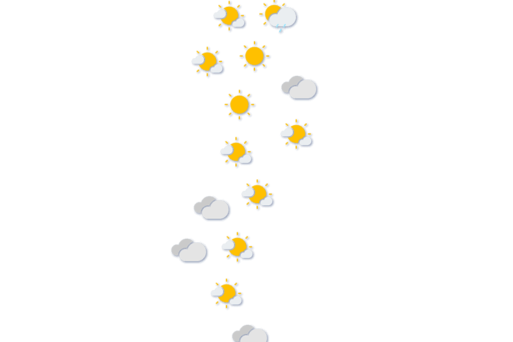 Forecast