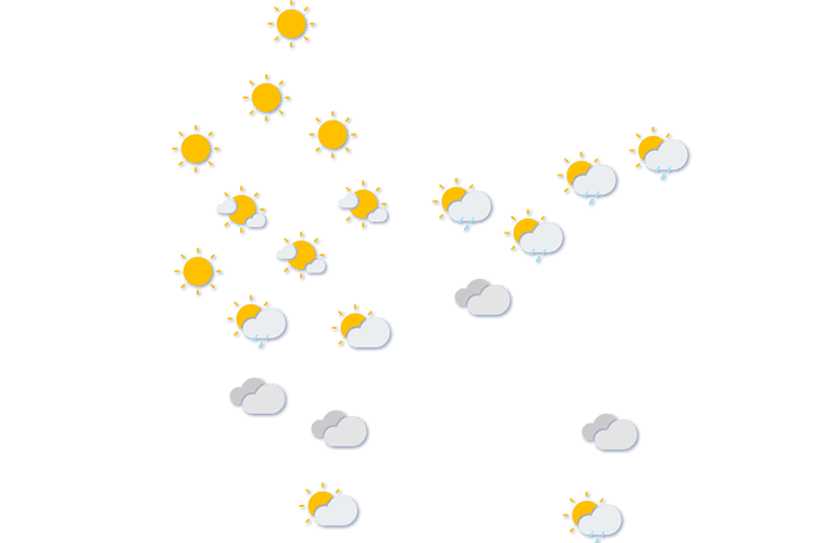 Forecast