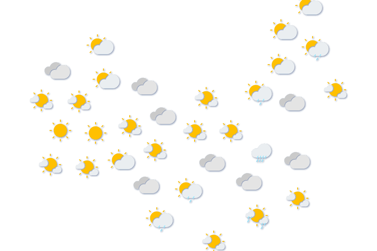 Forecast