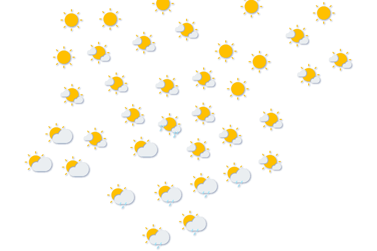 Forecast
