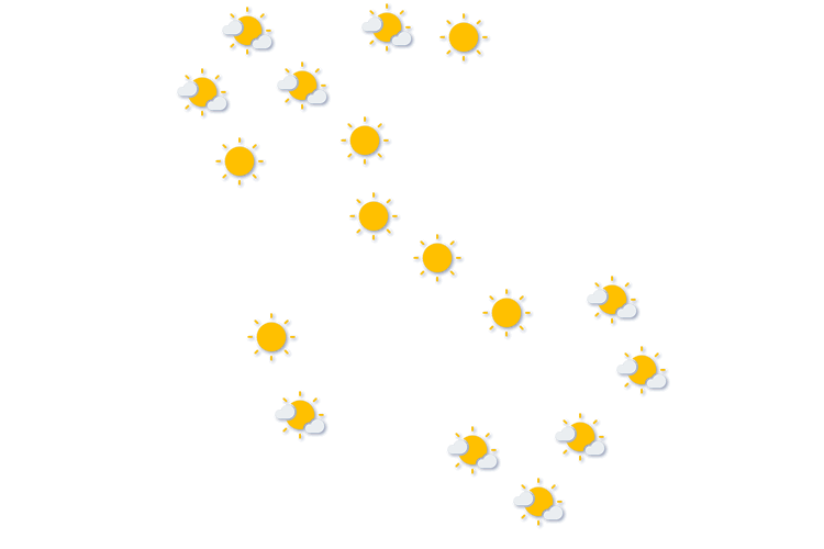 Forecast