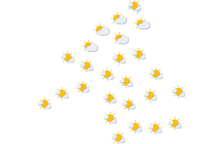 Forecast