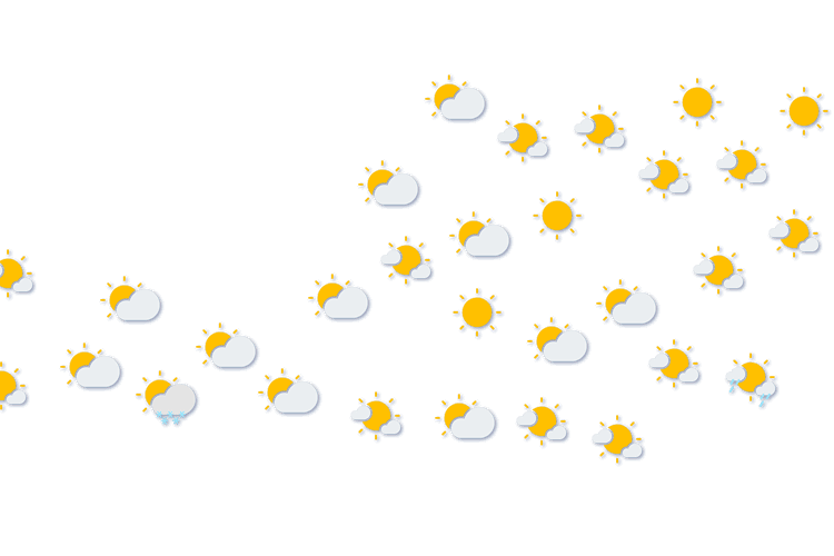 Forecast
