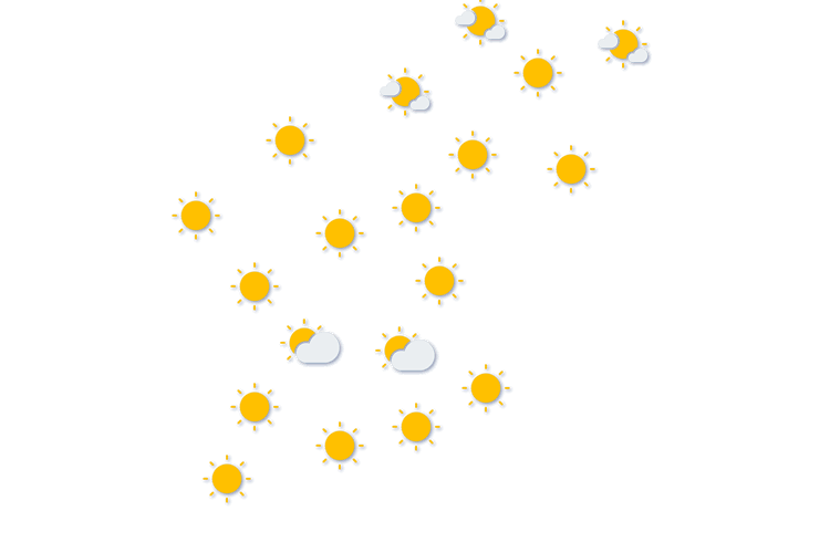 Forecast