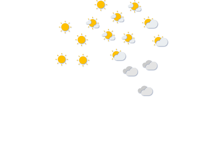 Forecast