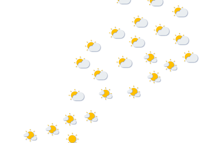 Forecast