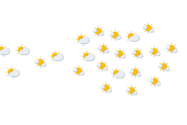Forecast