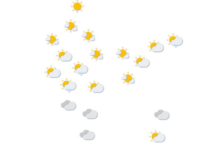 Forecast