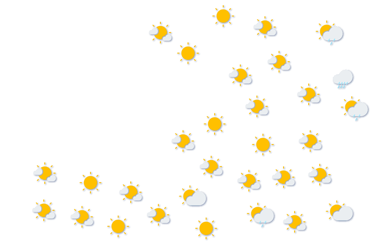 Forecast