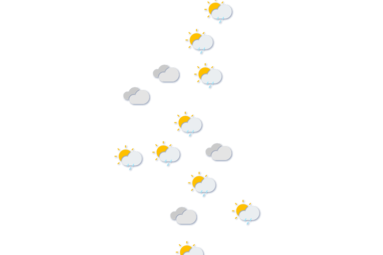 Forecast