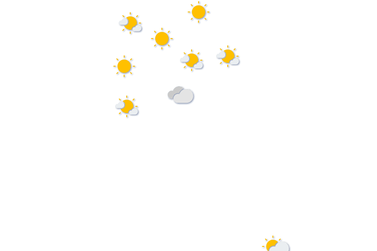 Forecast
