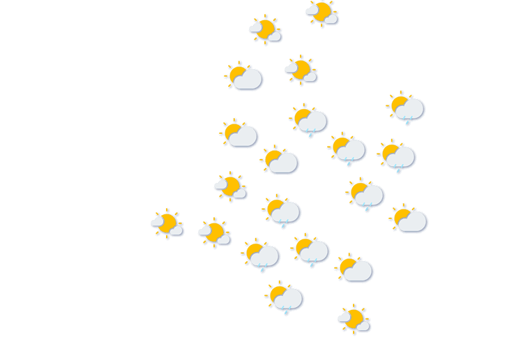 Forecast