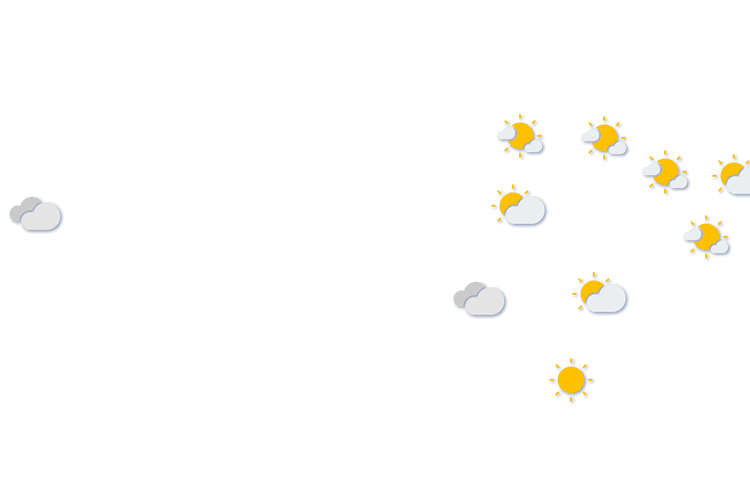 Forecast