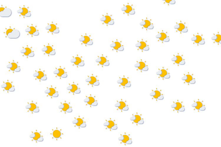 Forecast