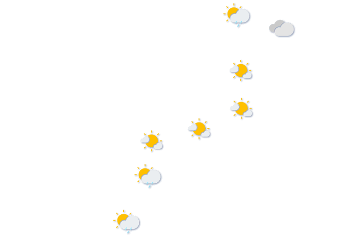 Forecast