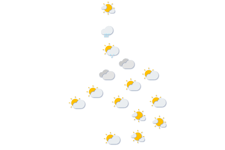 Forecast