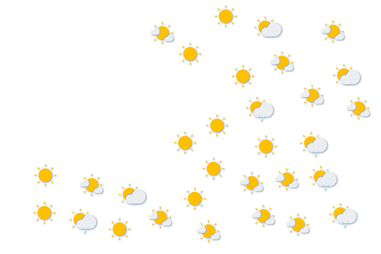 Forecast