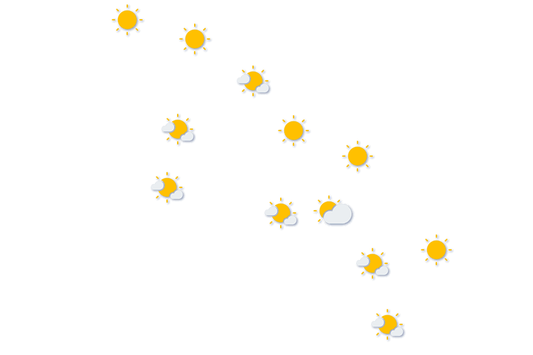 Forecast