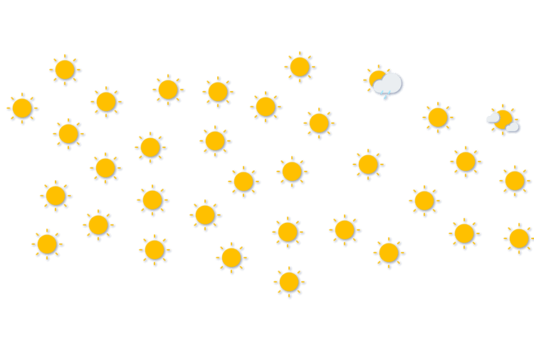 Forecast
