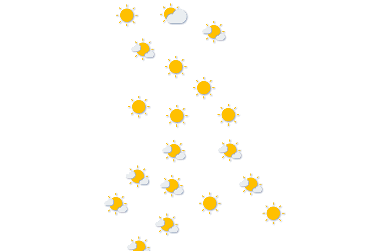 Forecast