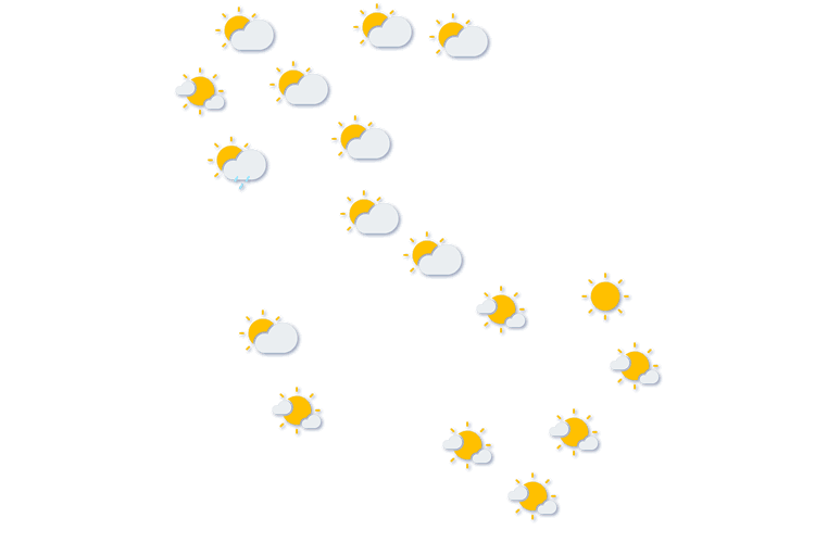 Forecast