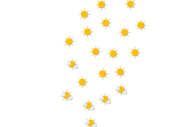 Forecast