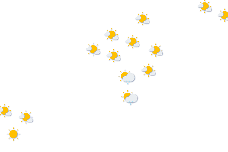 Forecast