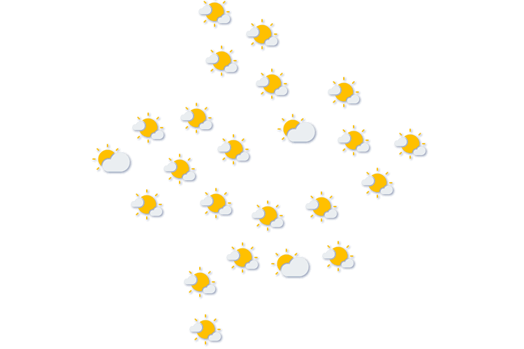 Forecast