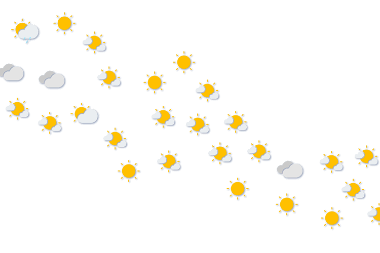 Forecast