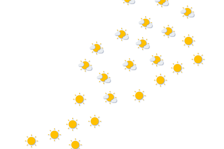 Forecast