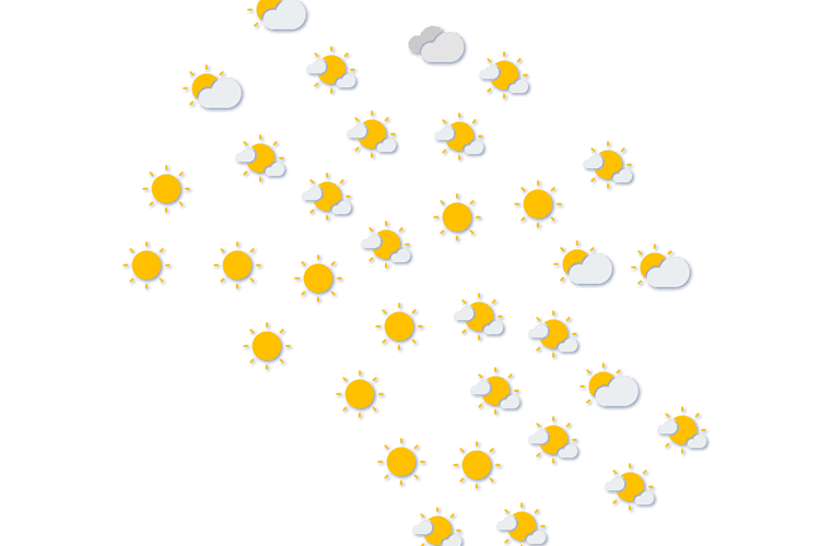 Forecast